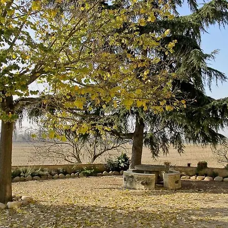 Masia Can Rique En Vilobi Donyar Villa