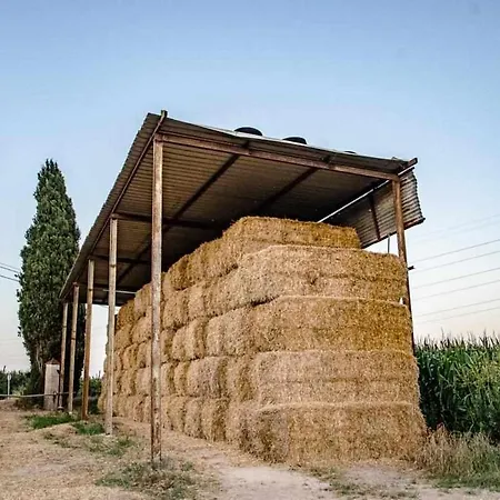 Villa Masia Can Rique En Vilobi Donyar Girona