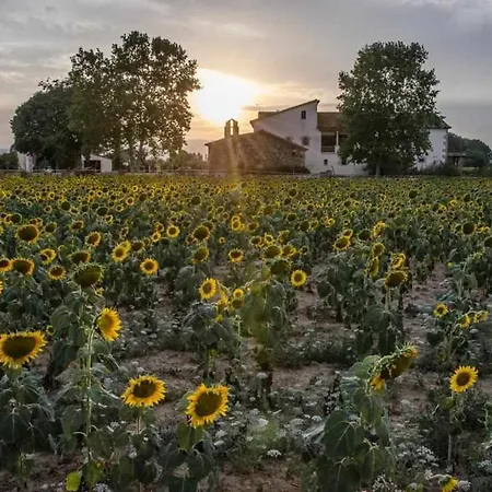 Villa Masia Can Rique En Vilobi Donyar *